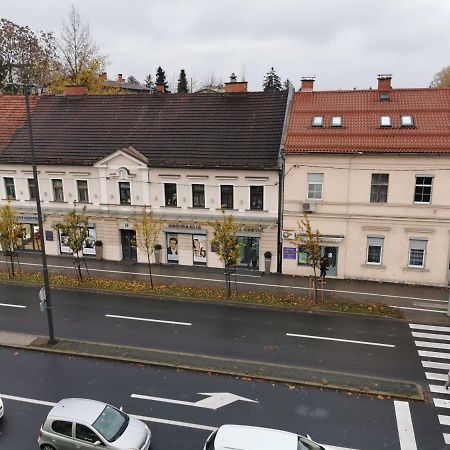 Apartment Trzaska With Free Parking Laibach Exterior foto